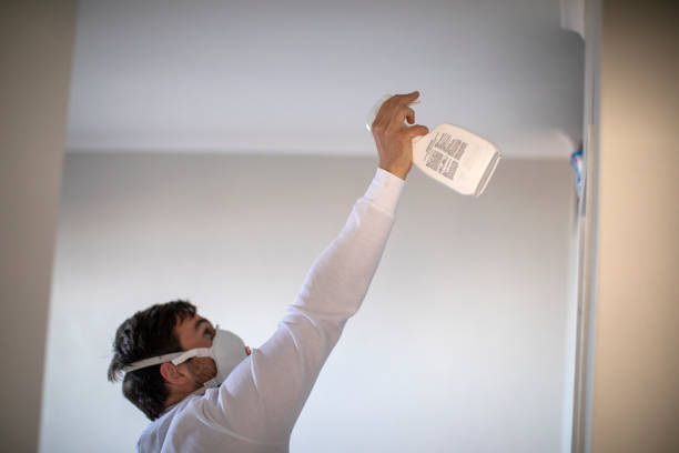 Best Toxic Mold Removal  in Virginia, MN