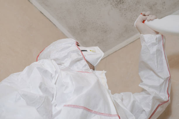 Best Mold Testing  in Virginia, MN